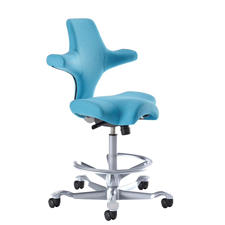 H G Capisco chair 8106 IBIOM